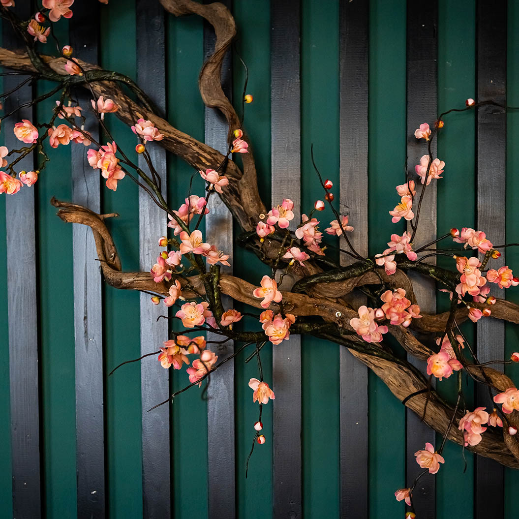 Ein Ast mit zarten rosa Kirschblüten hebt sich dekorativ vor grünen Lamellen ab