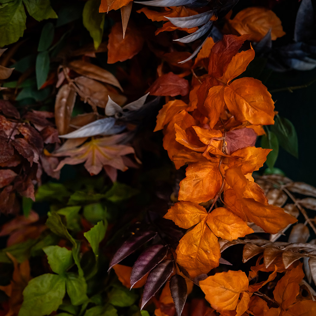 Bunte Blätter in Orange, Grün und Braun mit interessanter Lichtstimmung